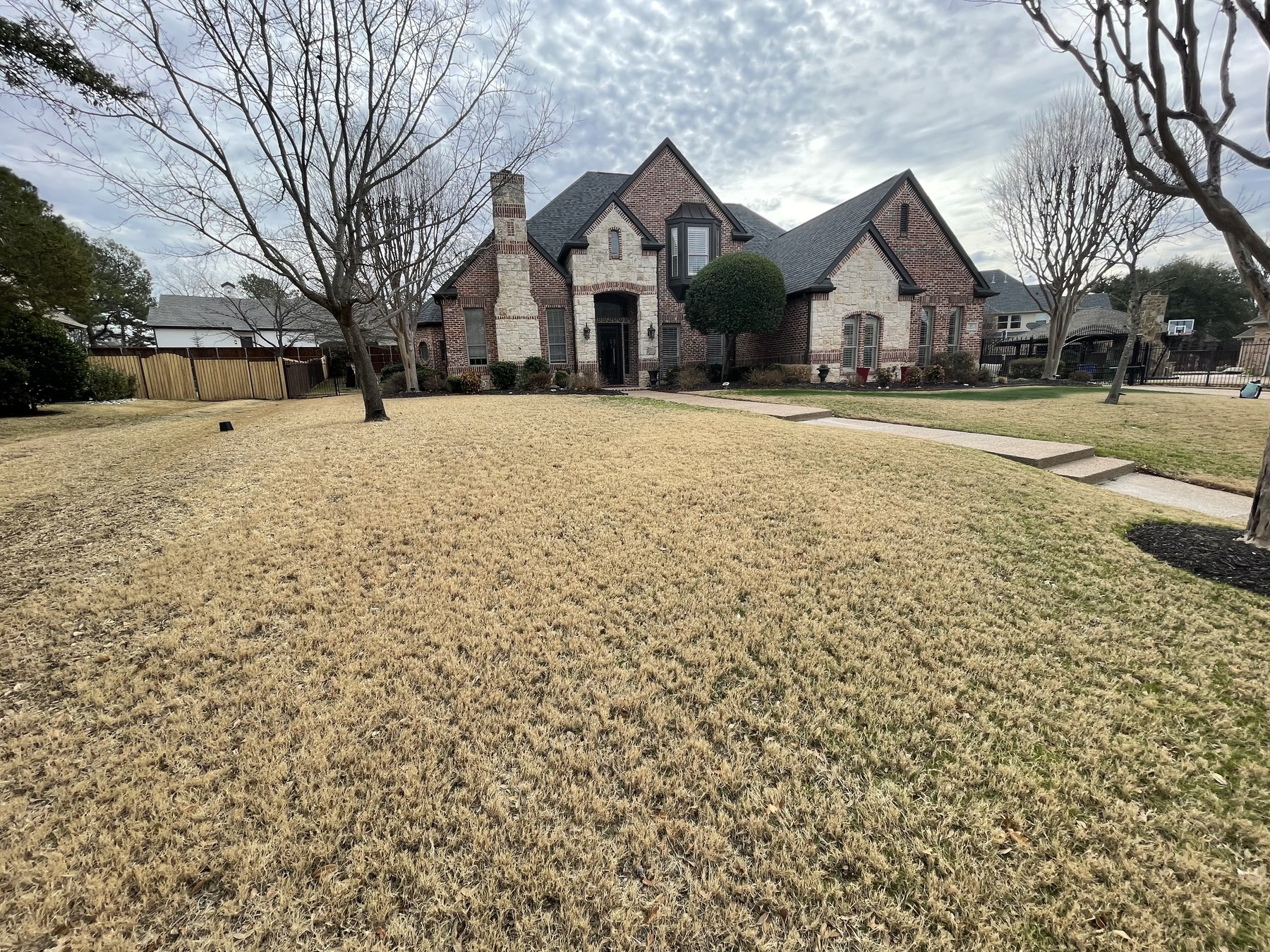 Before: wide front lawn color restoration