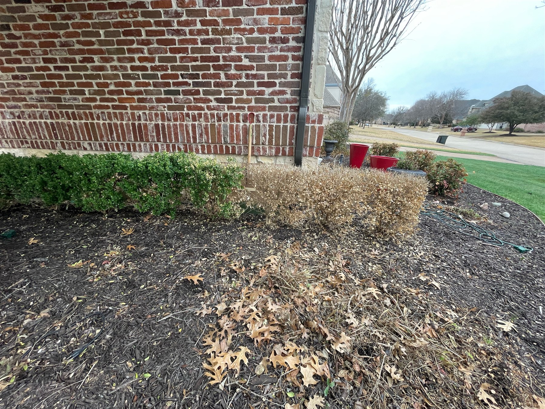 Before: landscape bed color restoration